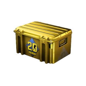 CS20 Case