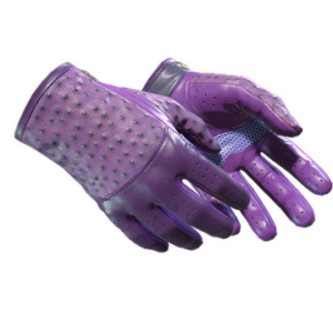 ★ Driver Gloves | Plum Quill (Minimal Wear)