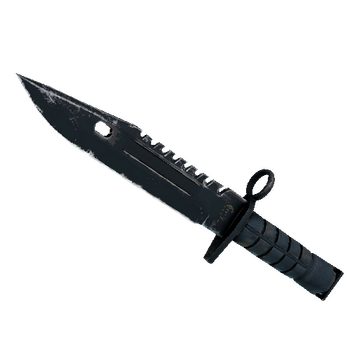 ★ M9 Bayonet | Night (Field-Tested)