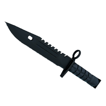 ★ M9 Bayonet | Night (Minimal Wear)