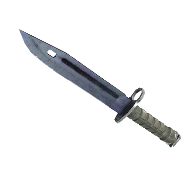 ★ StatTrak™ Bayonet | Blue Steel