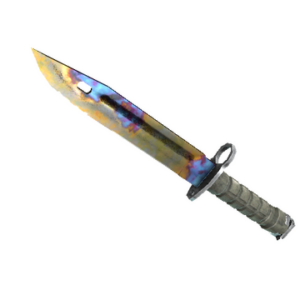 ★ StatTrak™ Bayonet | Case Hardened