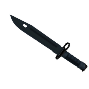 ★ StatTrak™ Bayonet | Night (Minimal Wear)