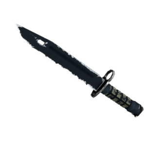 ★ StatTrak™ Bayonet | Night (Well-Worn)