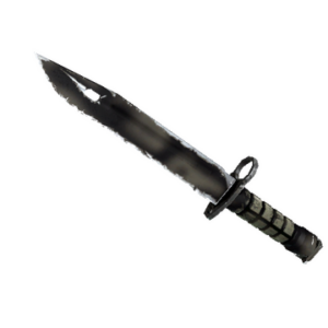 ★ StatTrak™ Bayonet | Scorched (Field-Tested)