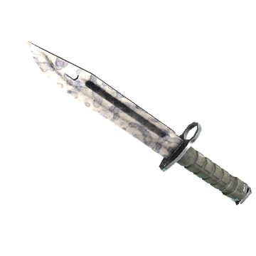 ★ StatTrak™ Bayonet | Stained (Well-Worn)