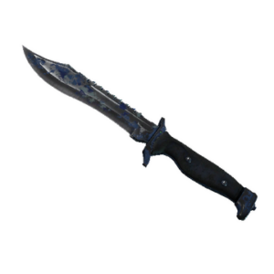 ★ StatTrak™ Bowie Knife | Bright Water (Battle-Scarred)