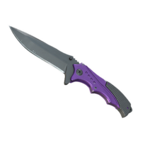 ★ StatTrak™ Nomad Knife | Ultraviolet (Well-Worn)