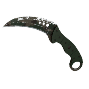 ★ StatTrak™ Talon Knife | Forest DDPAT (Well-Worn)