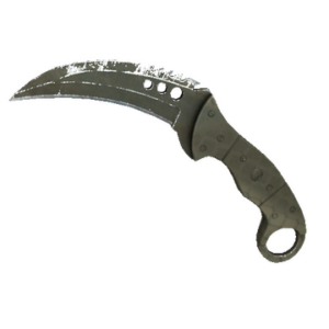 ★ StatTrak™ Talon Knife | Safari Mesh