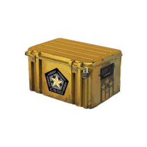 Gamma 2 Case
