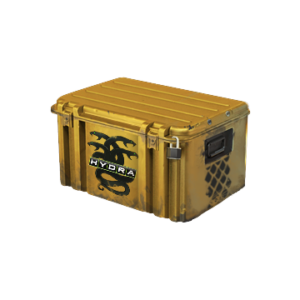 Operation Hydra Case